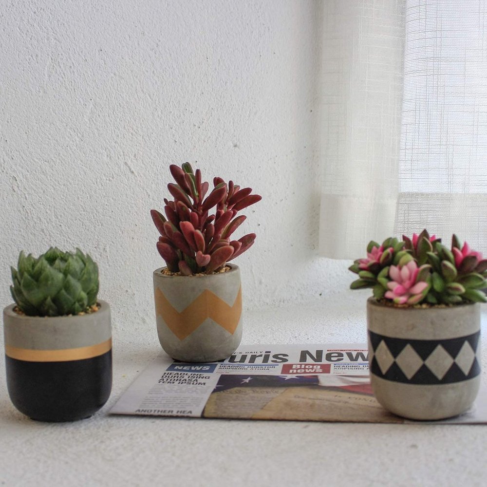 🌻NEW🌻 Modern Farmhouse Succulent Plant Pots - Picture 5 of 8